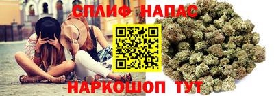 гидра Балашиха