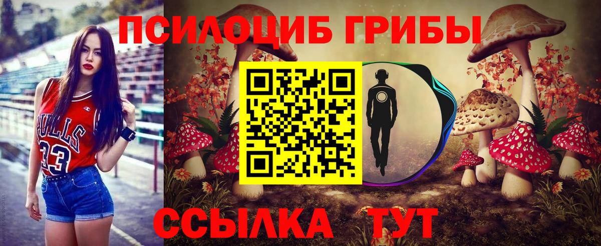 Грозный  Галлюциногенные грибы мухоморы  Вход с VPN 