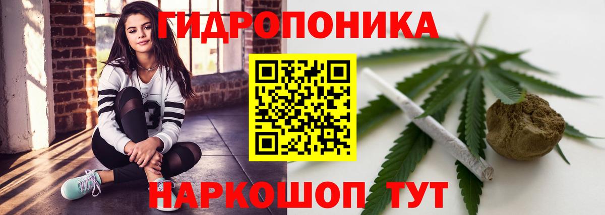 Шишки марихуана AK-47 Грозный